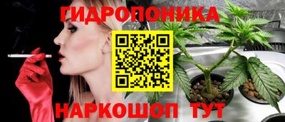 гидропоника Краснознаменск