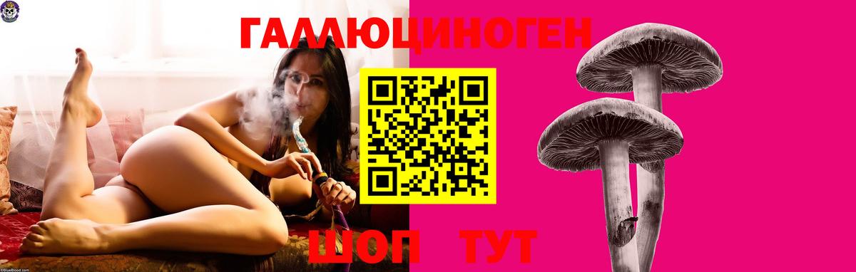 Домодедово  Псилоцибиновые грибы ЛСД  Вход с VPN 