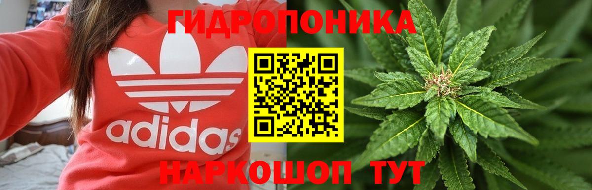 Бошки Шишки White Widow  МАРИХУАНА семена  Конопля план  Домодедово  Вход с VPN 